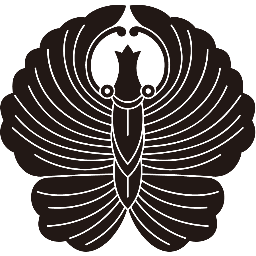 matsudairadaigakunokamichou