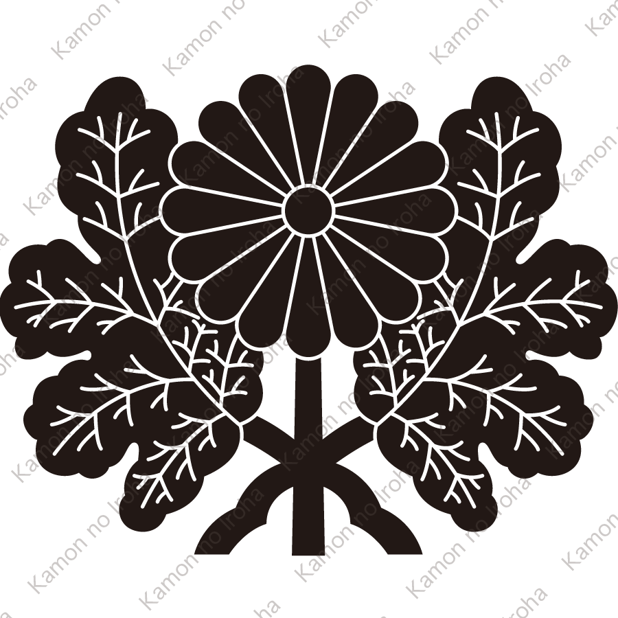 青山菊紋