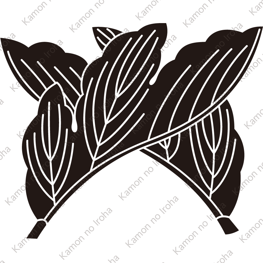 違い割り菊の葉紋