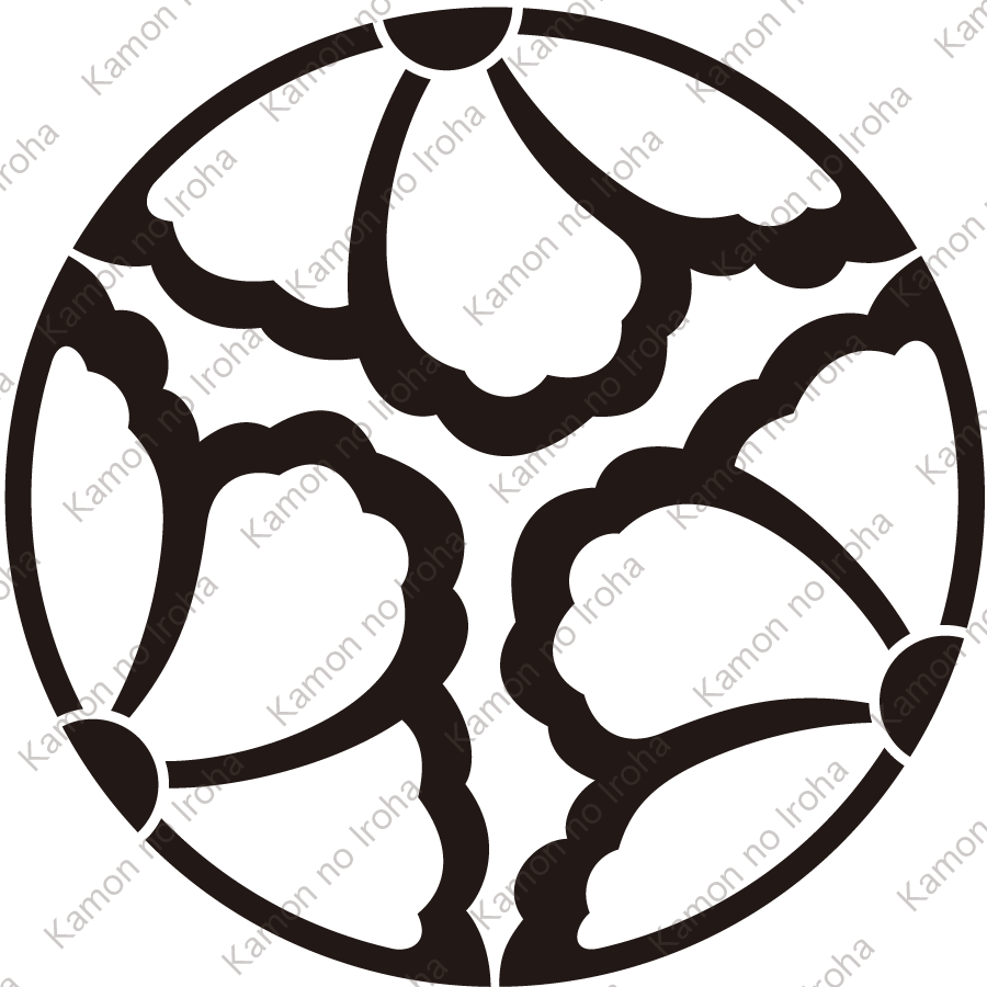 中陰三つ割り蔦紋