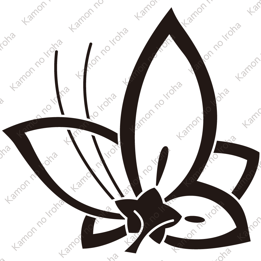 中陰裏桔梗飛び蝶紋