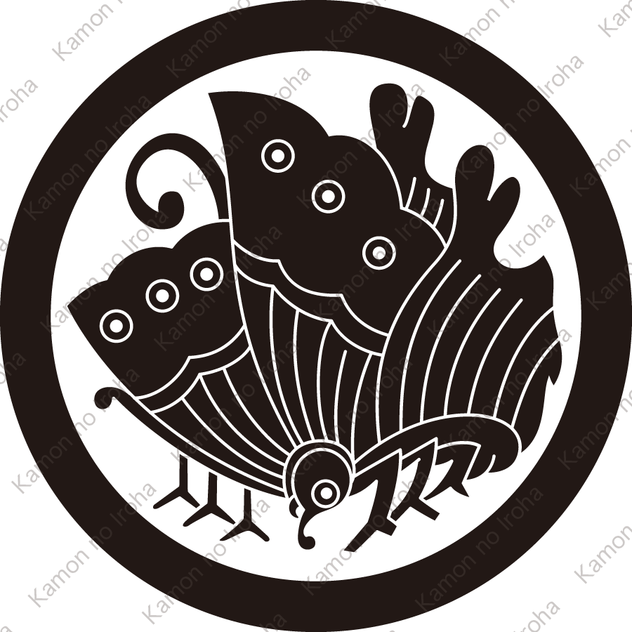 中輪に変り揚羽蝶紋