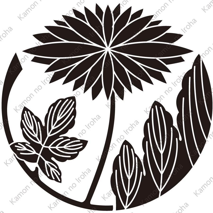 二葉鬼菊の丸紋