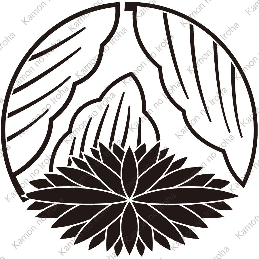 葉陰鬼菊の丸紋