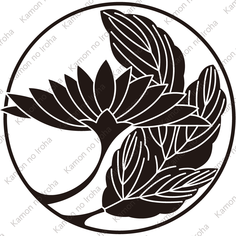 葉付き横見菊の丸紋