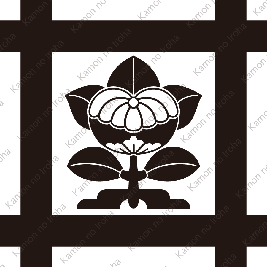 平井筒に台付菊座橘紋