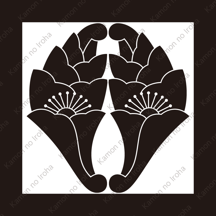 平角に抱き花杏葉紋