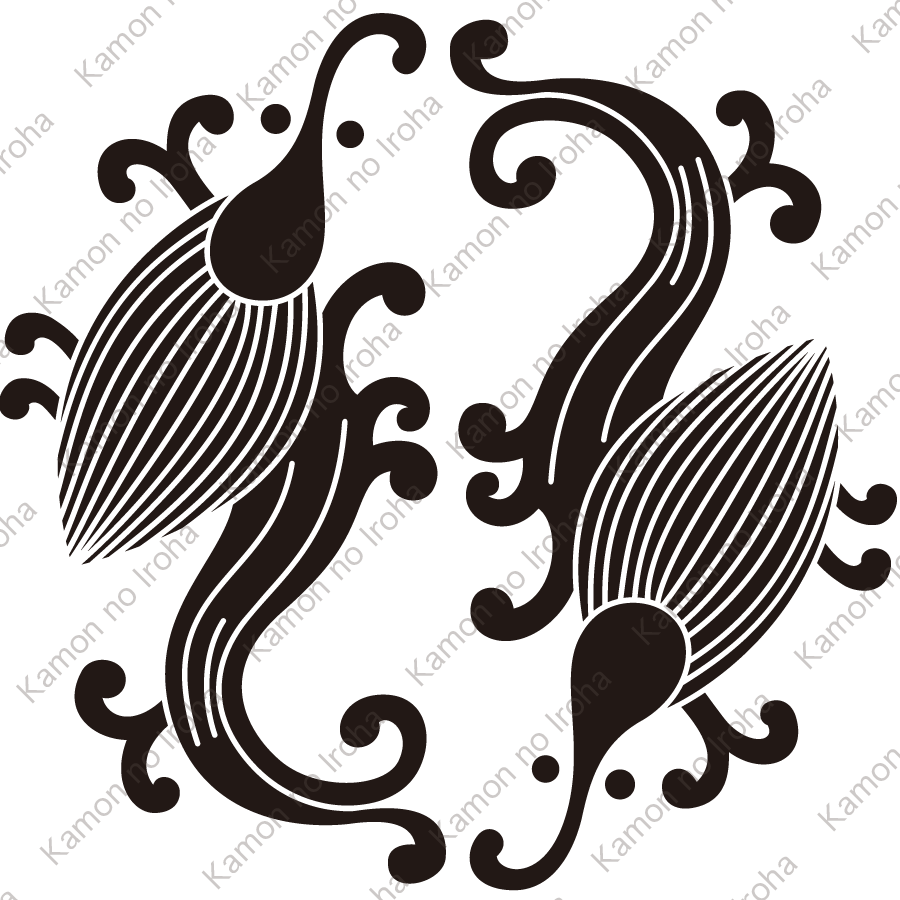 入れ違い雨竜紋