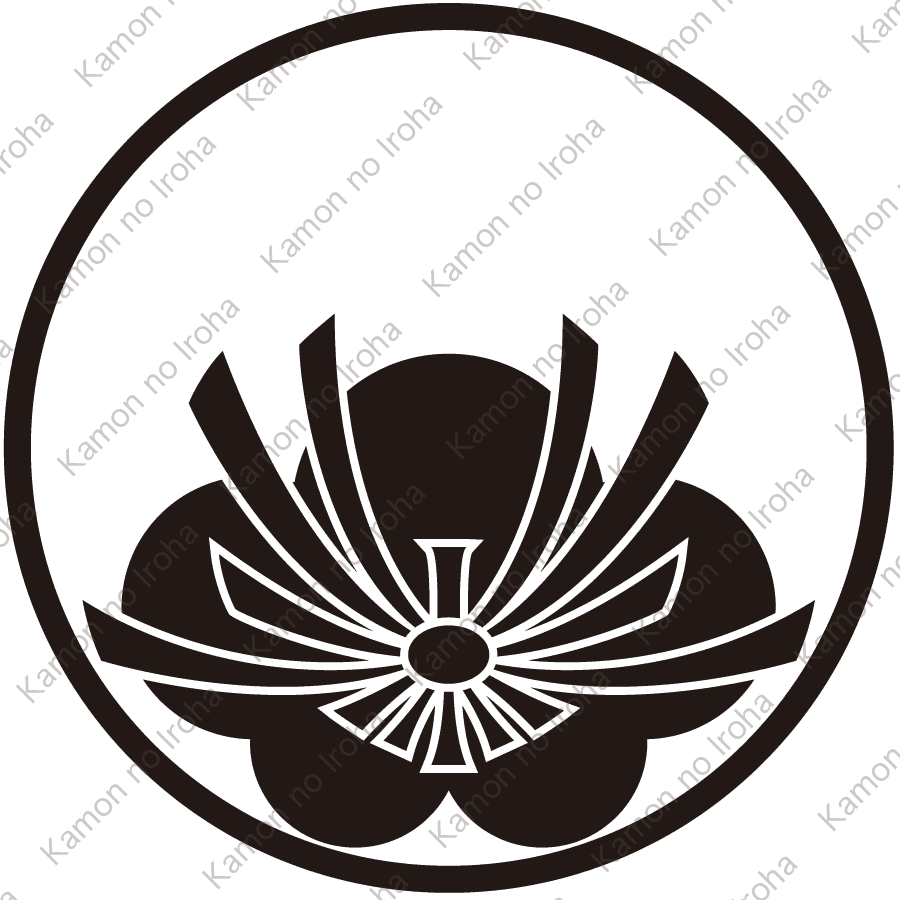 糸輪に総覗き変り梅紋