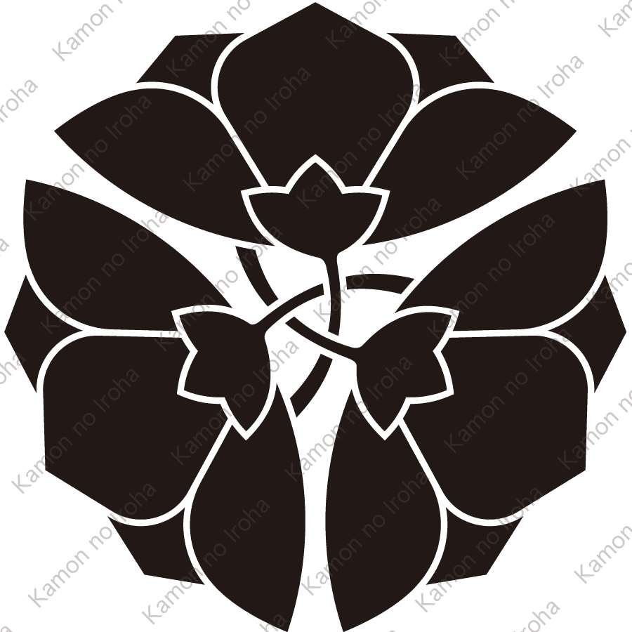 軸違い三つ横見桔梗紋