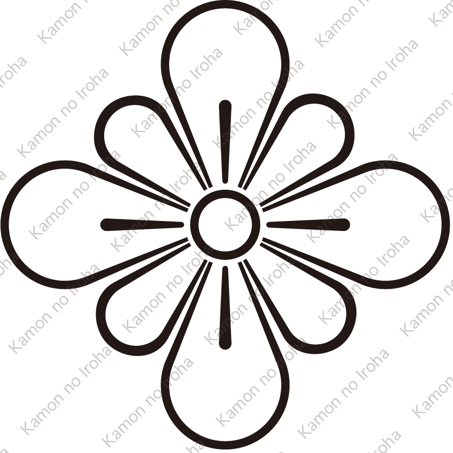 陰梨の切り口紋
