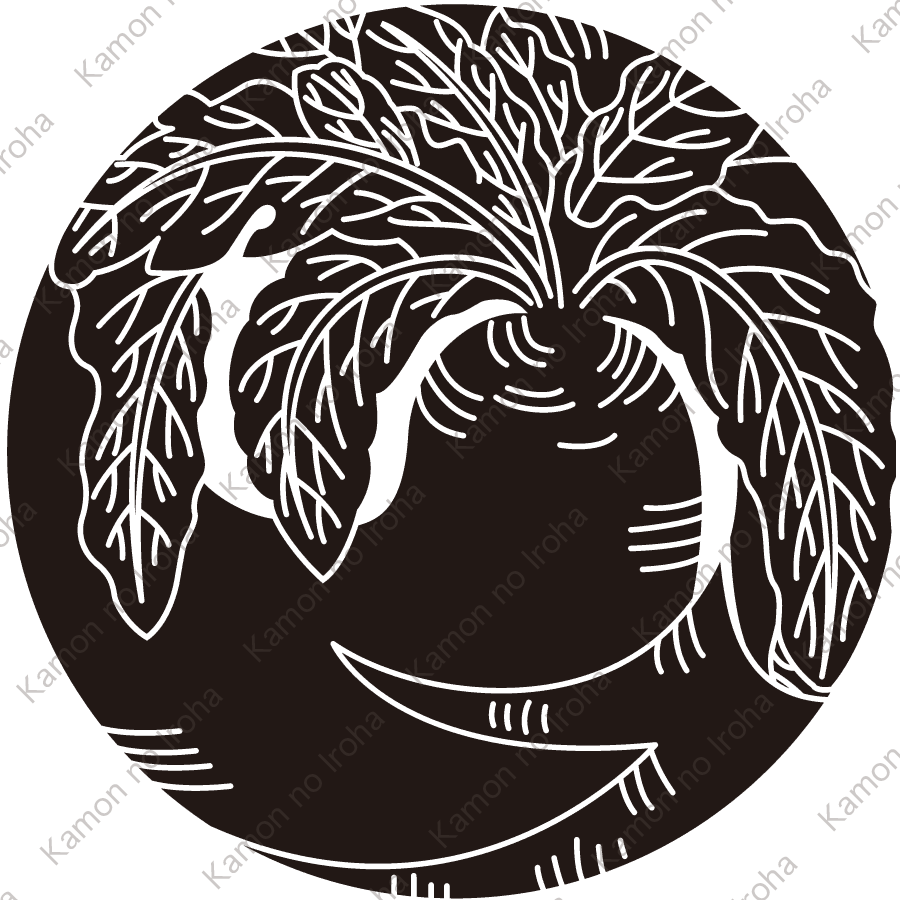 変り大根の丸紋