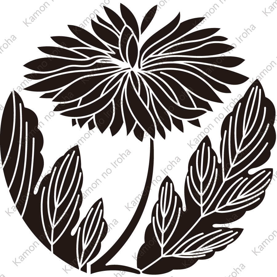 変り二葉乱れ菊紋