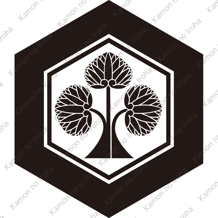 亀甲に本多立ち葵紋