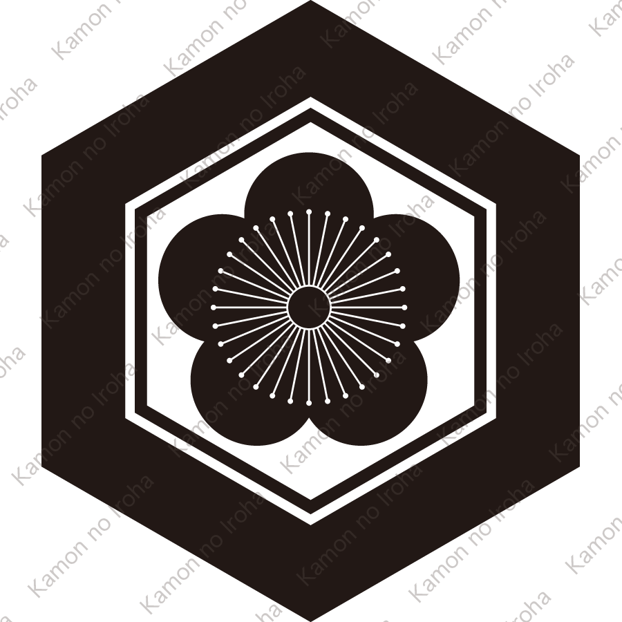 亀甲に向う梅紋