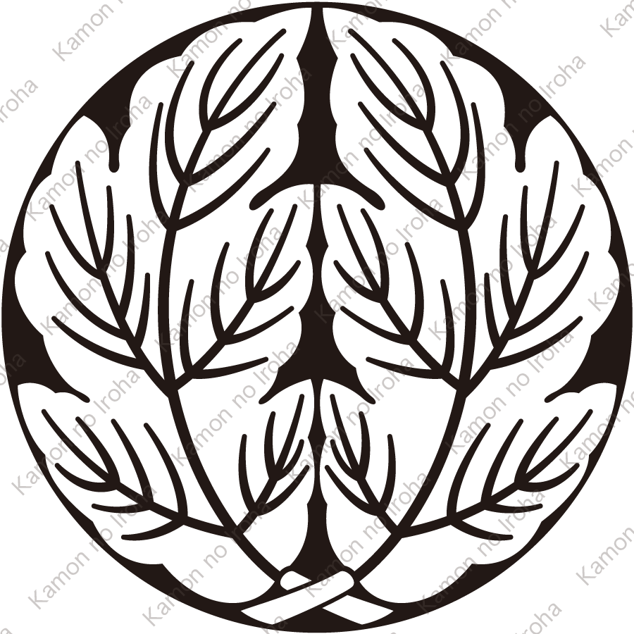 石持ち地抜き抱き菊の葉紋