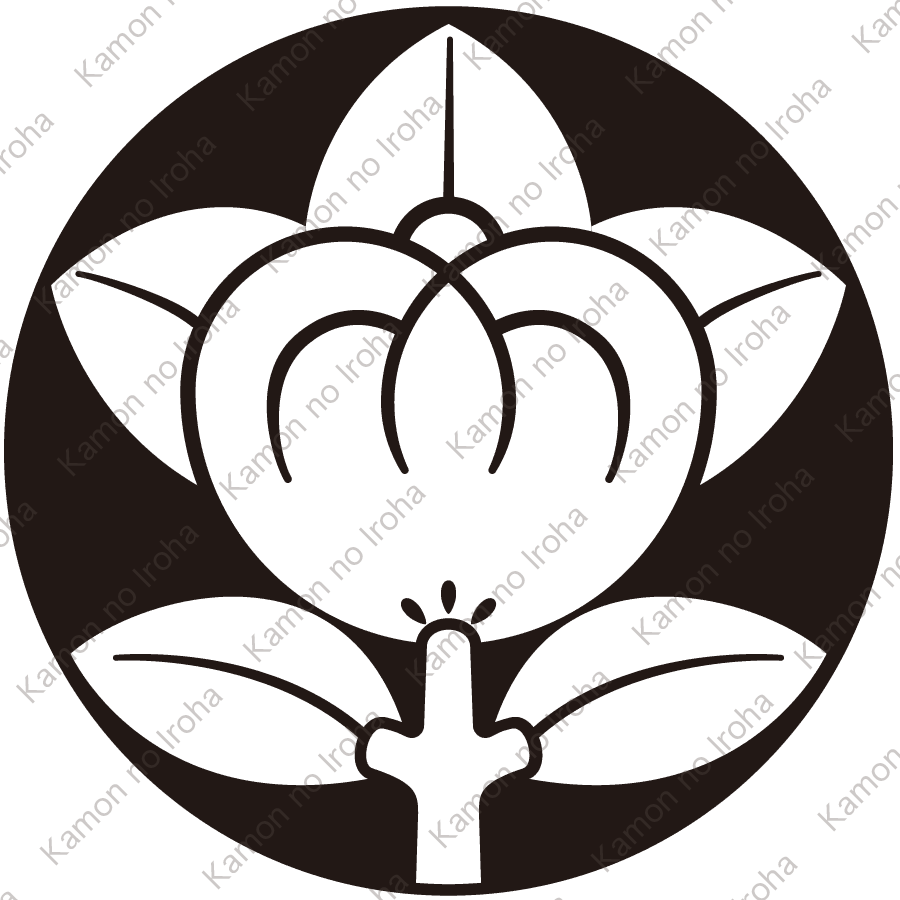 石持ち地抜き橘紋