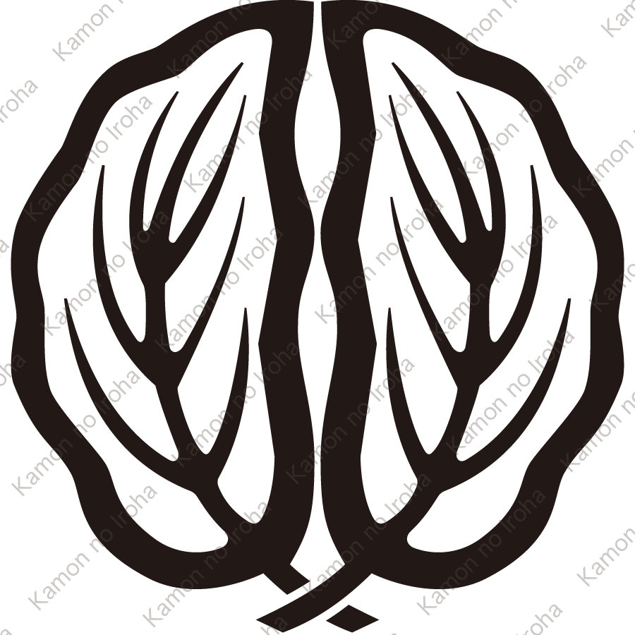 光臨中陰抱き柏紋