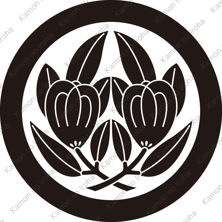 中輪に抱き橘紋