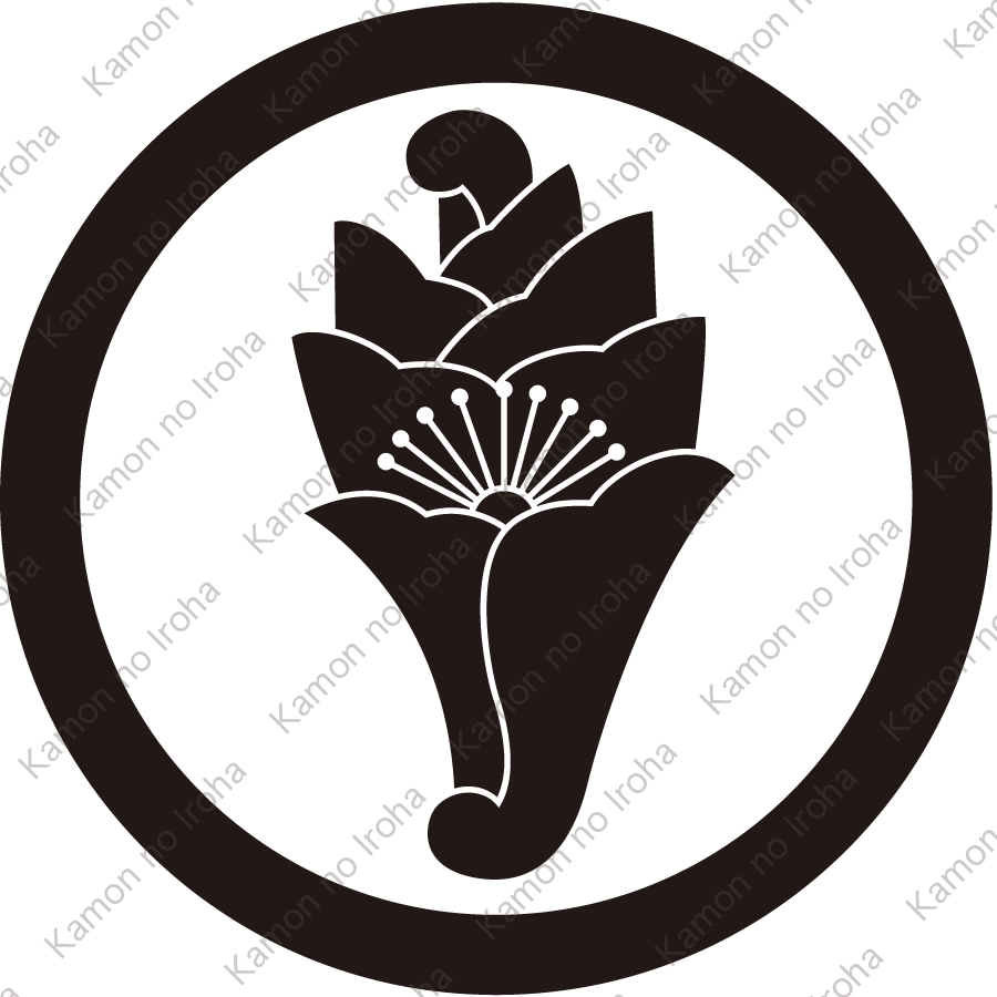 丸に一つ花杏葉紋