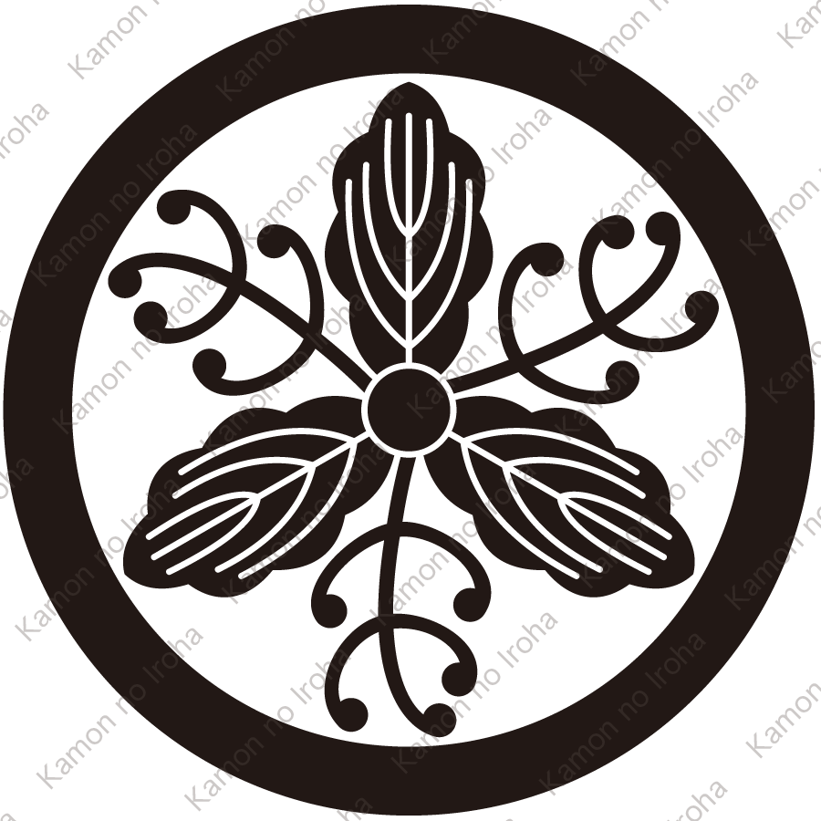 丸に変り蔓土佐柏紋