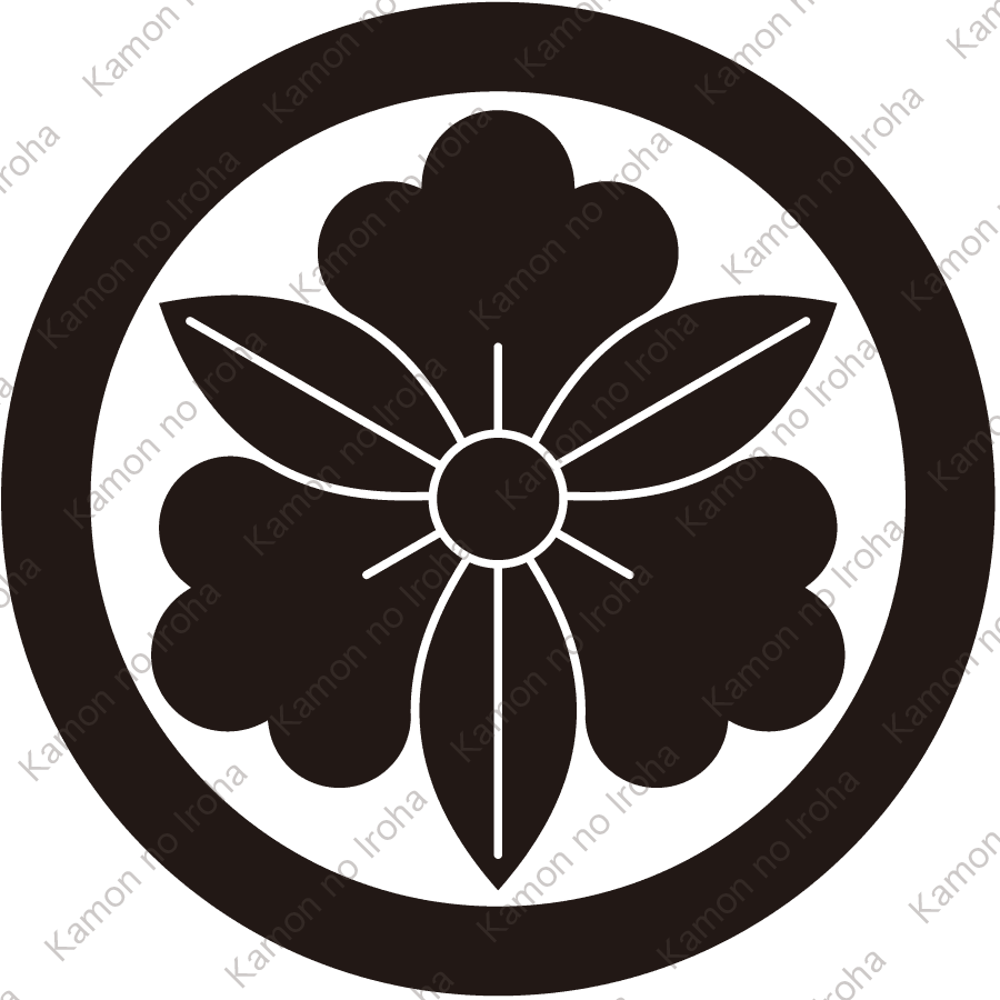 丸に三つ葉藤紋