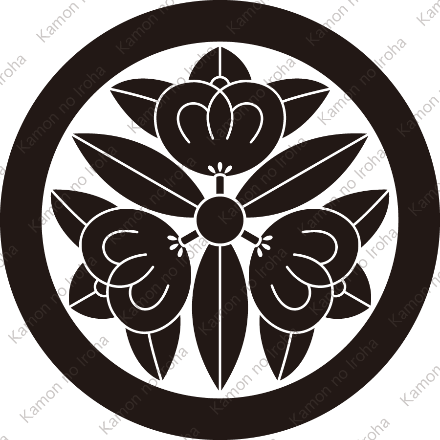 丸に三つ葉橘紋