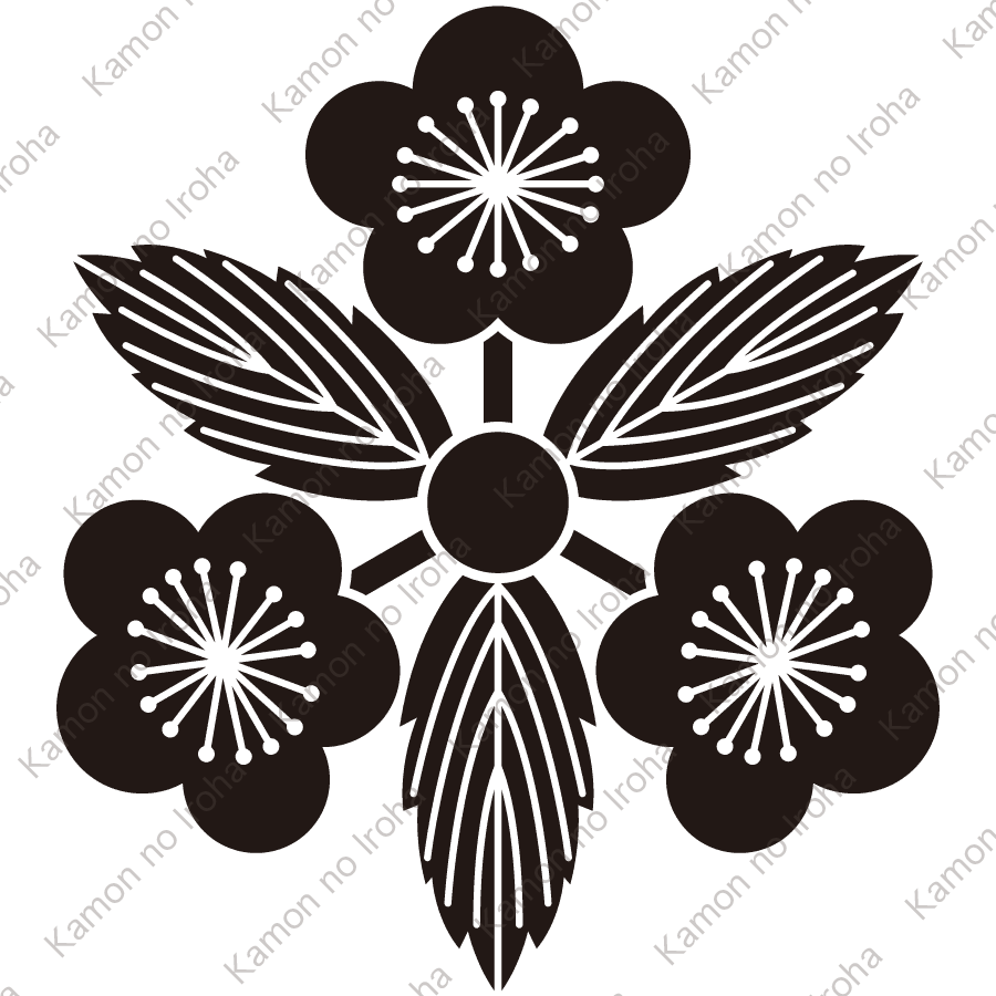 三つ葉向う梅紋