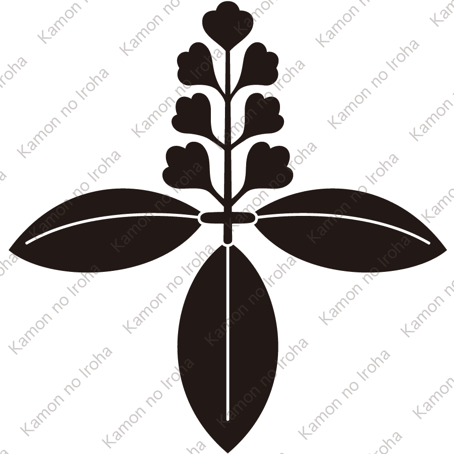 三つ葉立ち藤紋