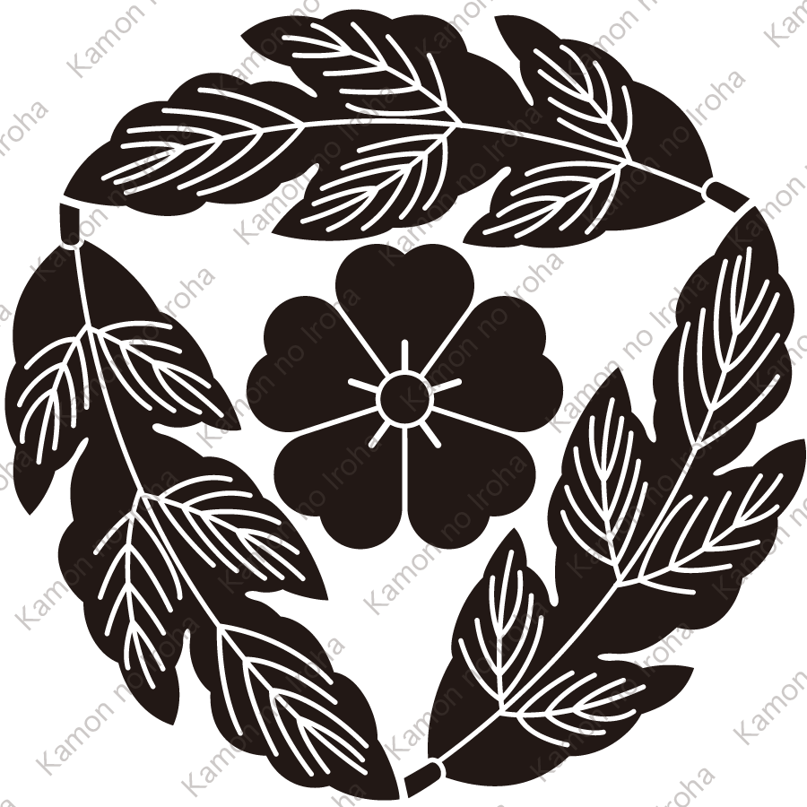 三つ追い菊の葉に桜紋