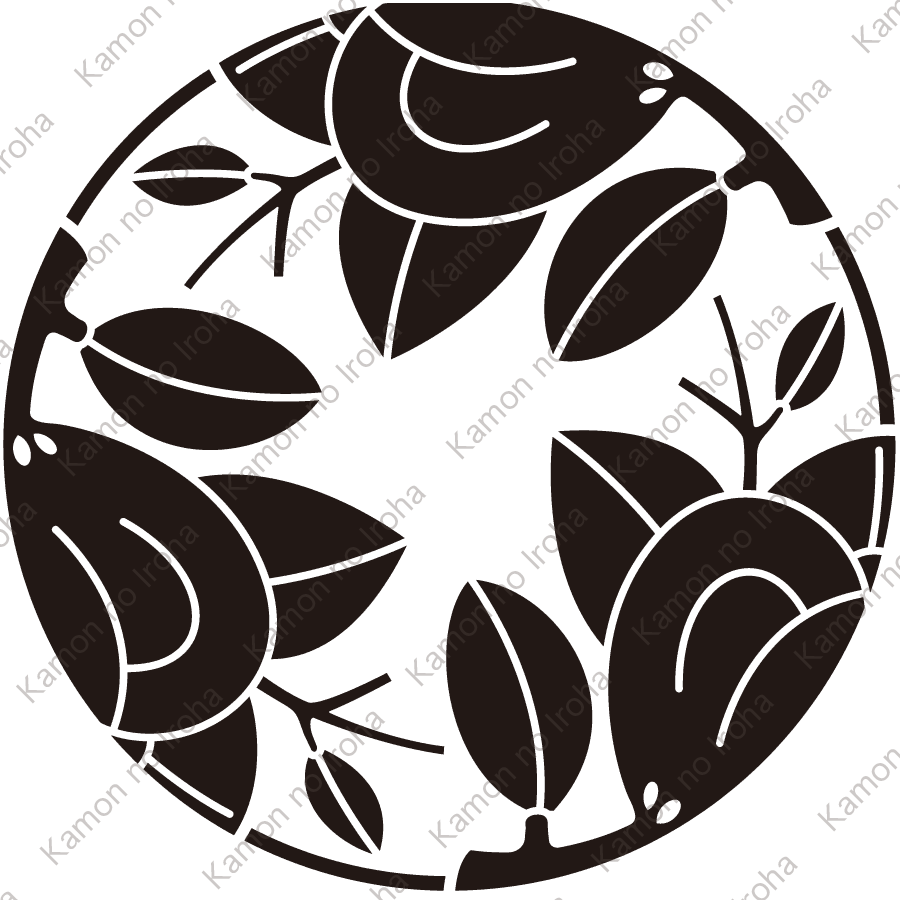 三つ割り枝橘紋