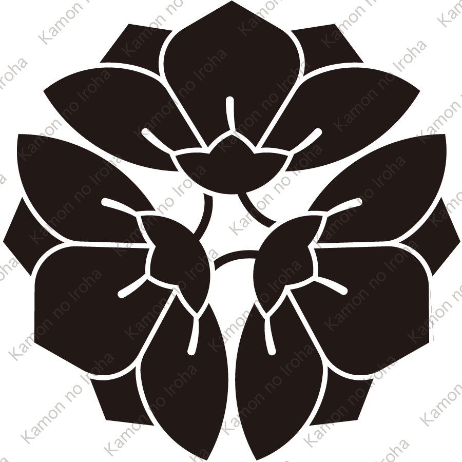 三つ横見桔梗紋