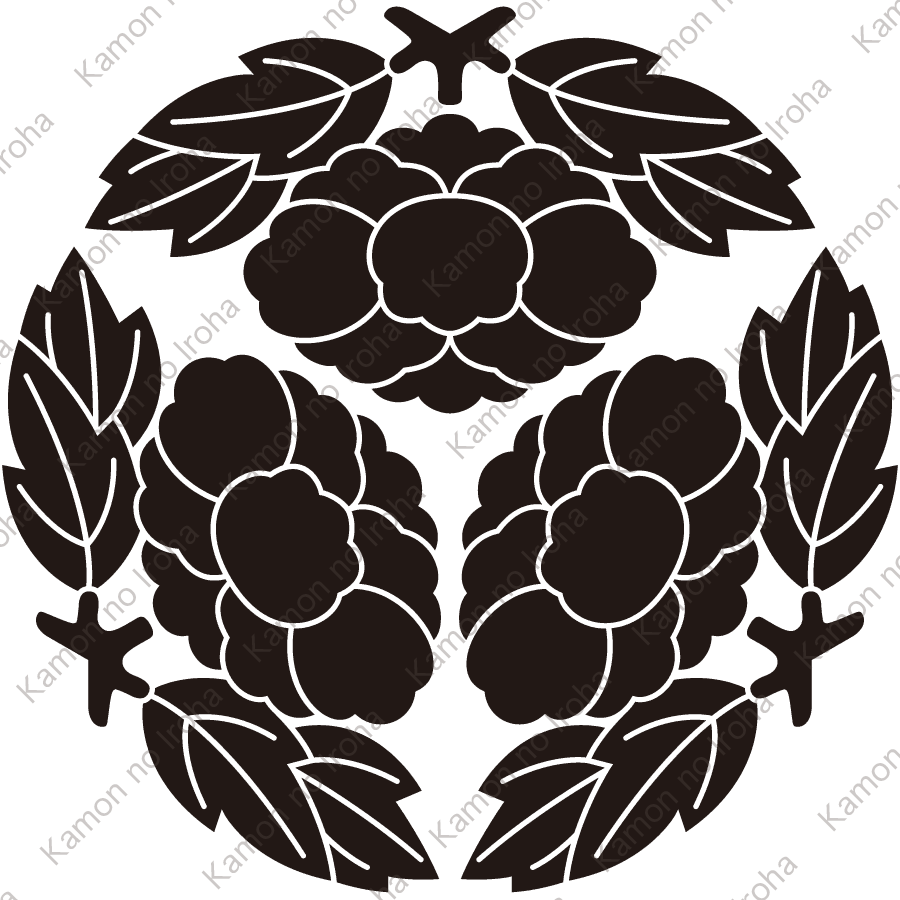 三つ寄せ枝牡丹紋