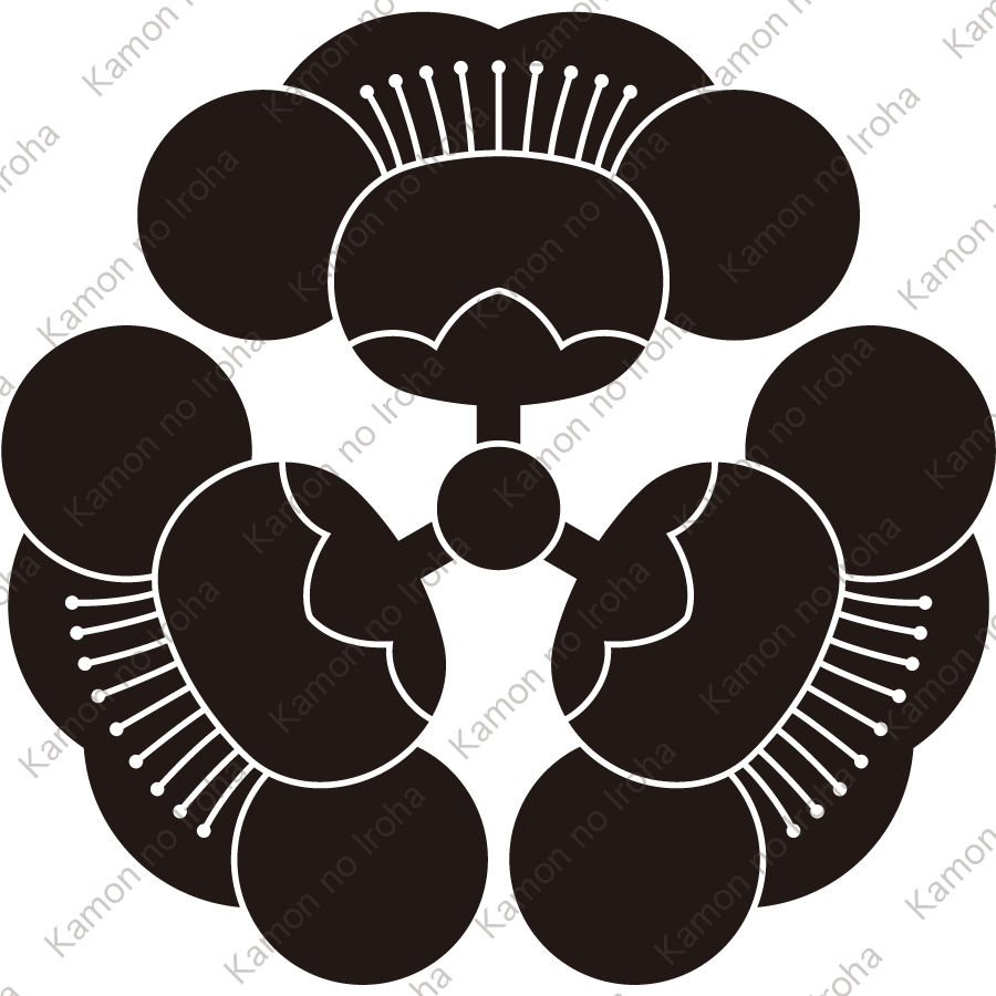 三つ寄せ横見梅紋