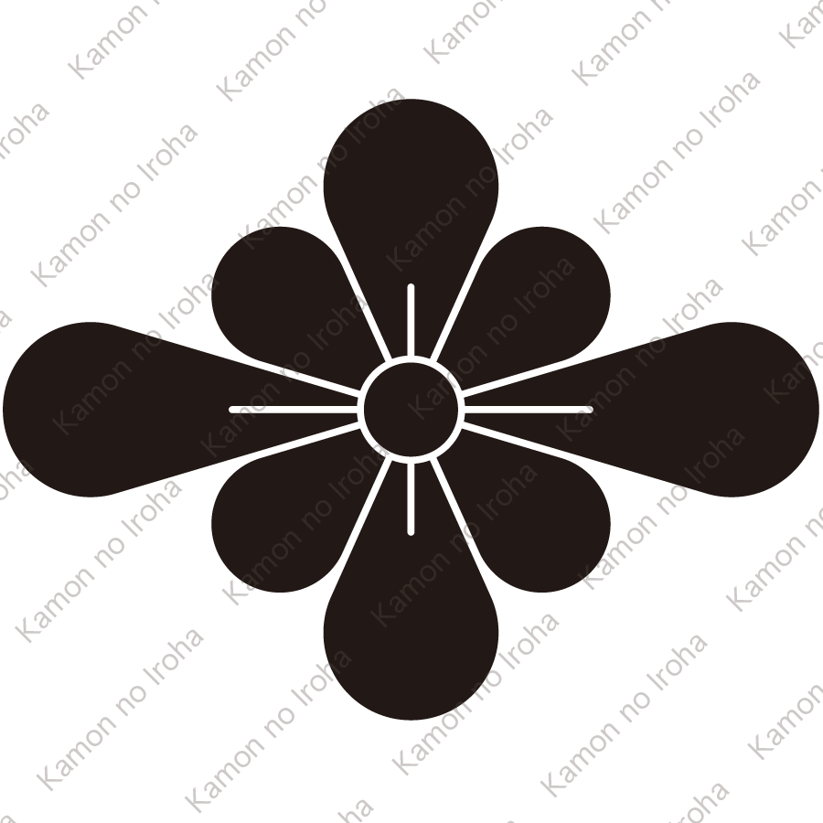 梨の切り口菱紋