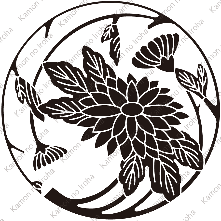 野菊の丸紋