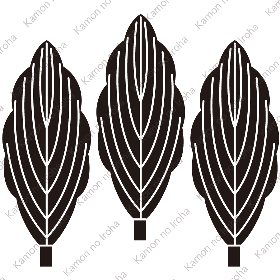 三枚並び柏紋
