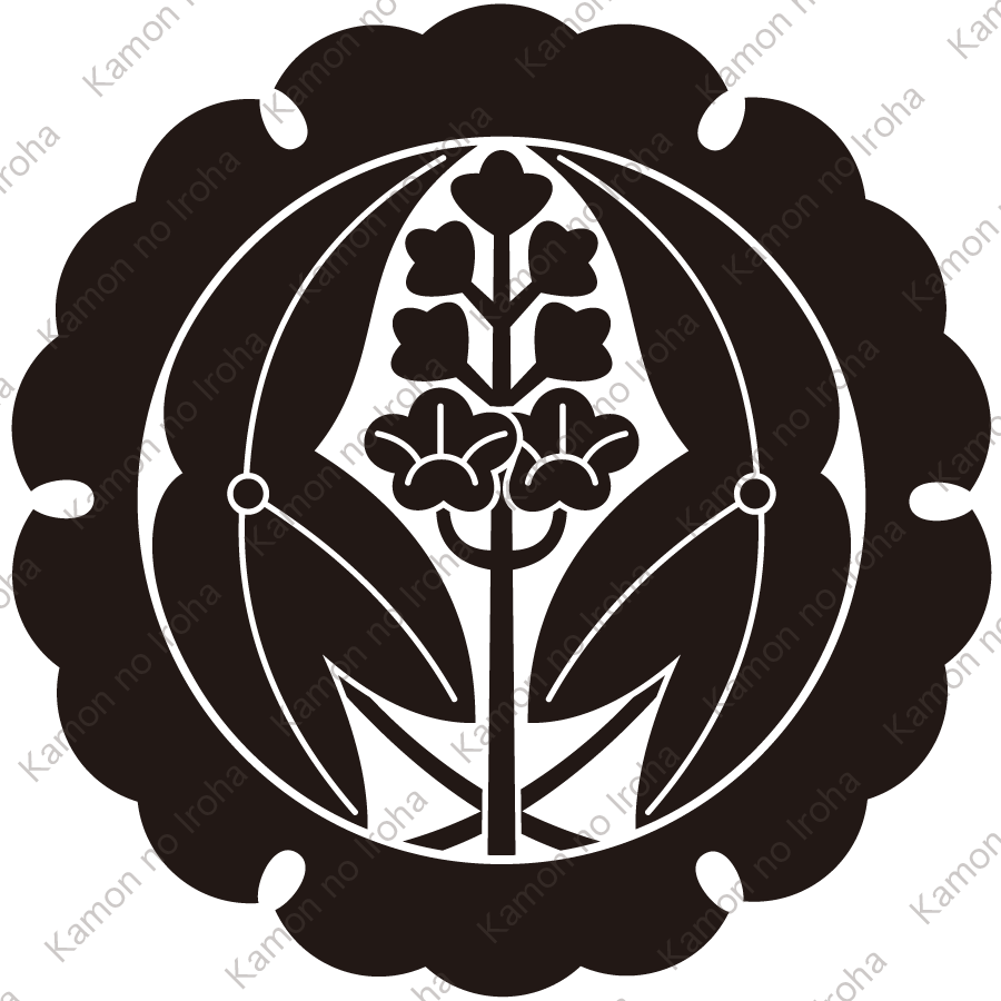 外雪輪に抱き沢瀉紋