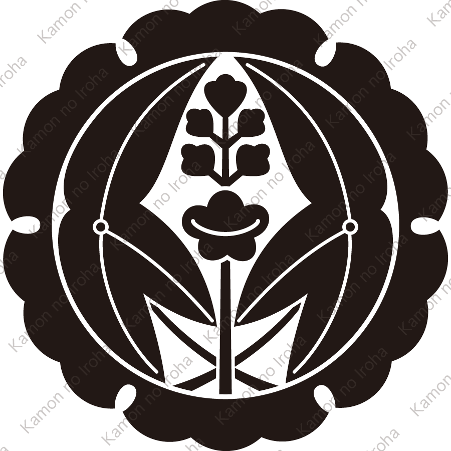 外雪輪に抱き沢瀉紋