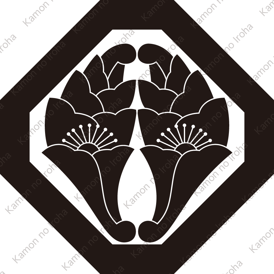 隅切り角に抱き花杏葉紋