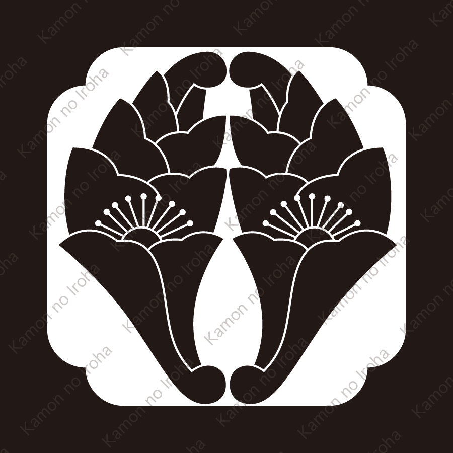 大夫角に抱き花杏葉紋