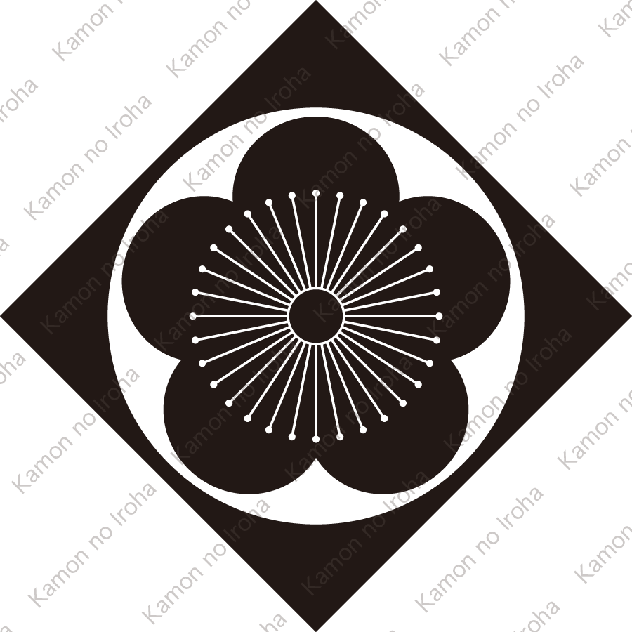 鉄砲角に向う梅紋