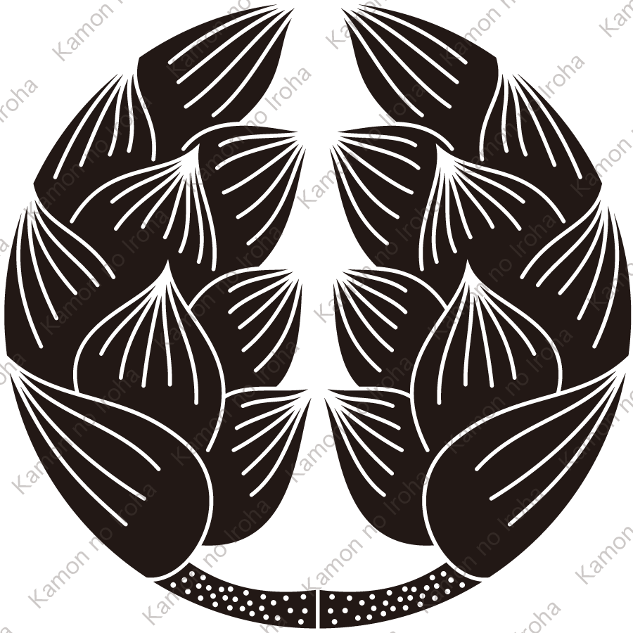 割り蓮の花紋
