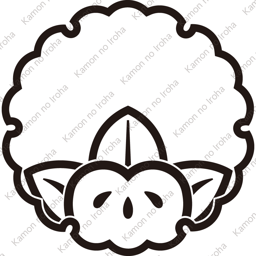 雪輪に覗き変り陰橘紋