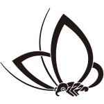 中陰光琳飛び蝶紋