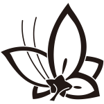 中陰裏桔梗飛び蝶紋