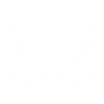 抱き菊の葉に菊