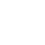 細抱き菊の葉に抱き茗荷