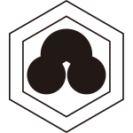 陰一重亀甲に洲浜紋