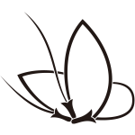 変り松葉蝶（２）紋